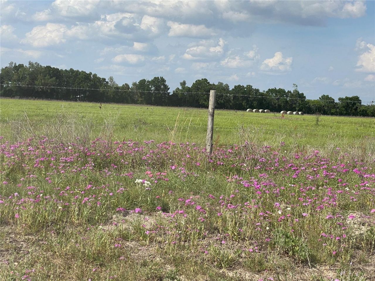 0 Sr 345, Chiefland, FL 32626 Photo