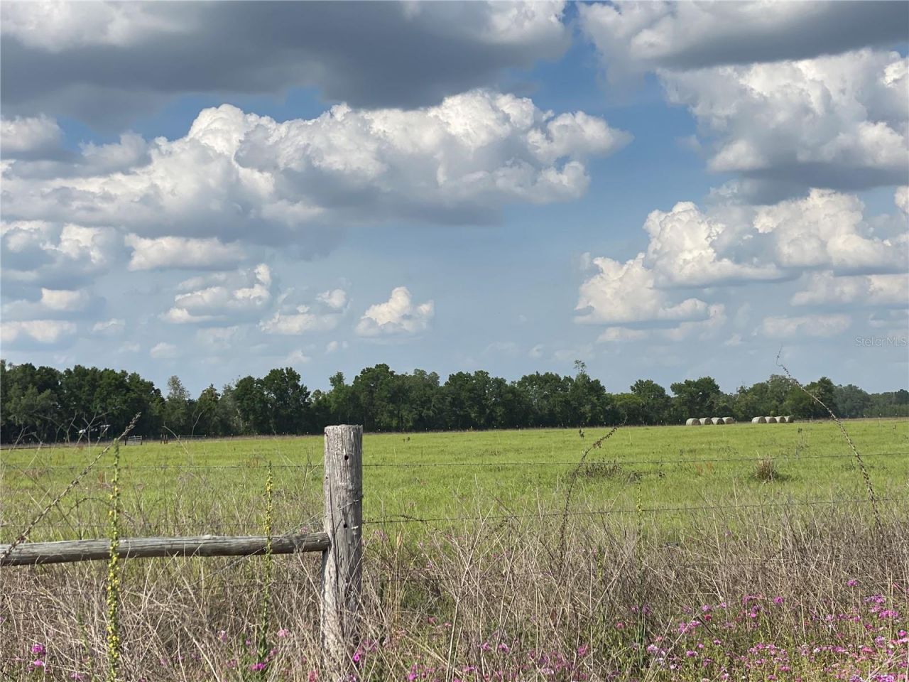 0 Sr 345, Chiefland, FL 32626 Photo