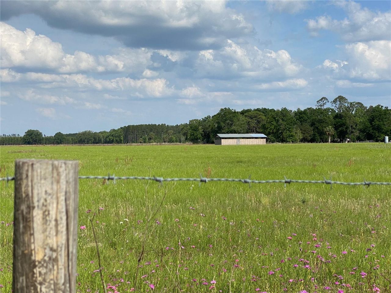 0 Sr 345, Chiefland, FL 32626 Photo