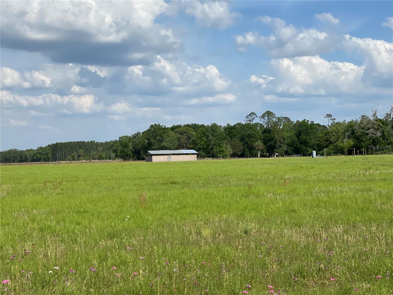 0 Sr 345, Chiefland, FL 32626 Photo