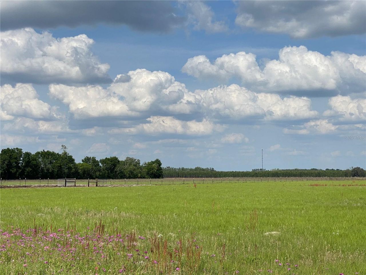 0 Sr 345, Chiefland, FL 32626 Photo