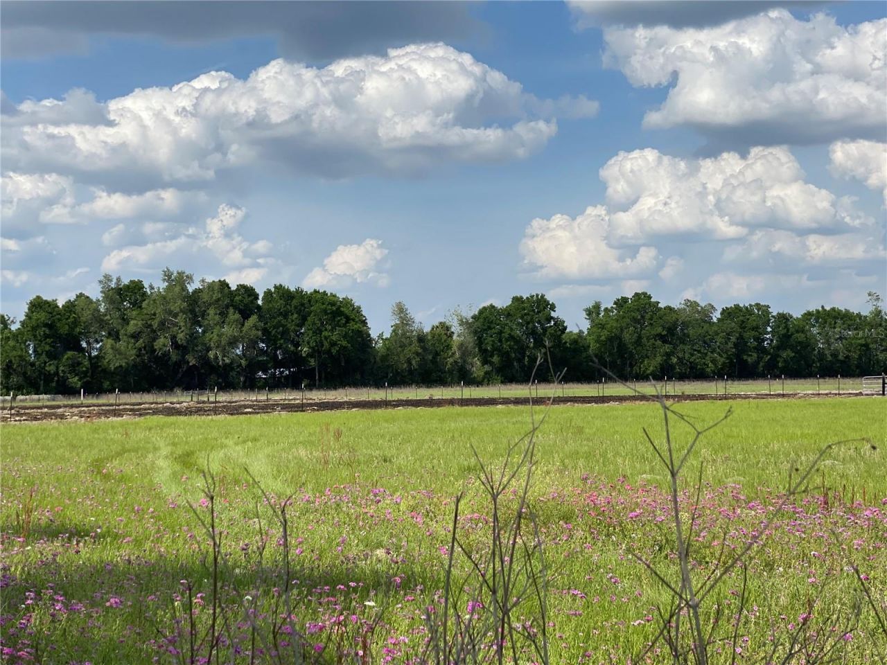 0 Sr 345, Chiefland, FL 32626 Photo