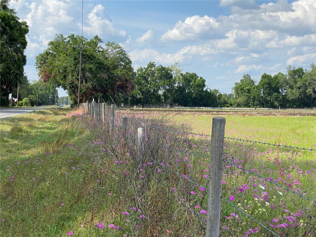 0 Sr 345, Chiefland, FL 32626 Photo