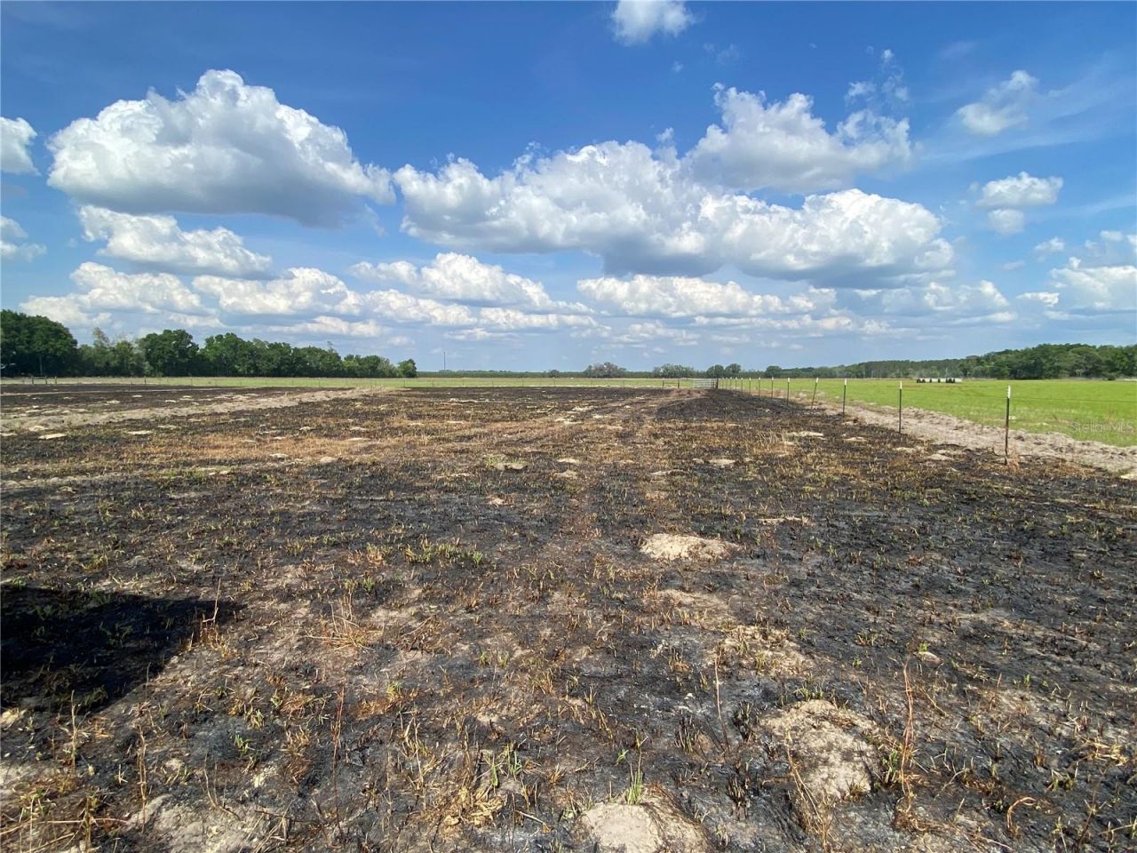 0 Sr 345, Chiefland, FL 32626 Photo