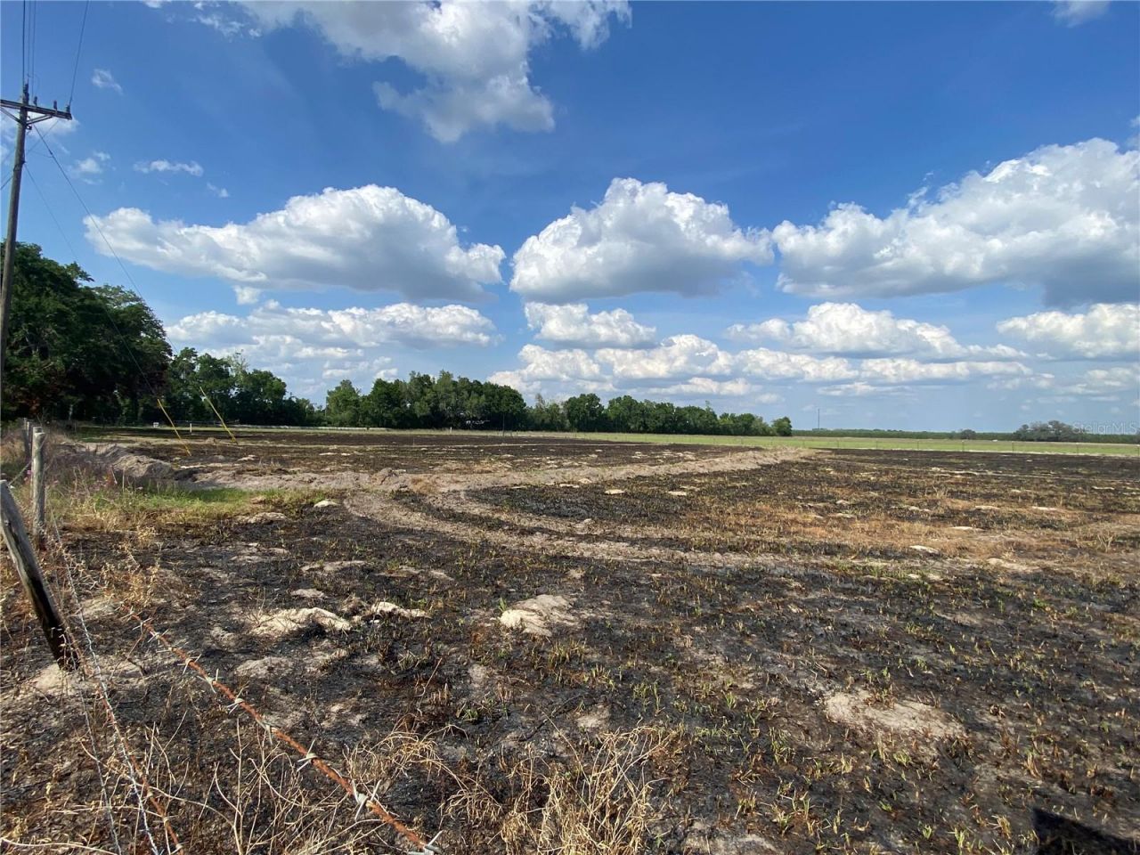 0 Sr 345, Chiefland, FL 32626 Photo