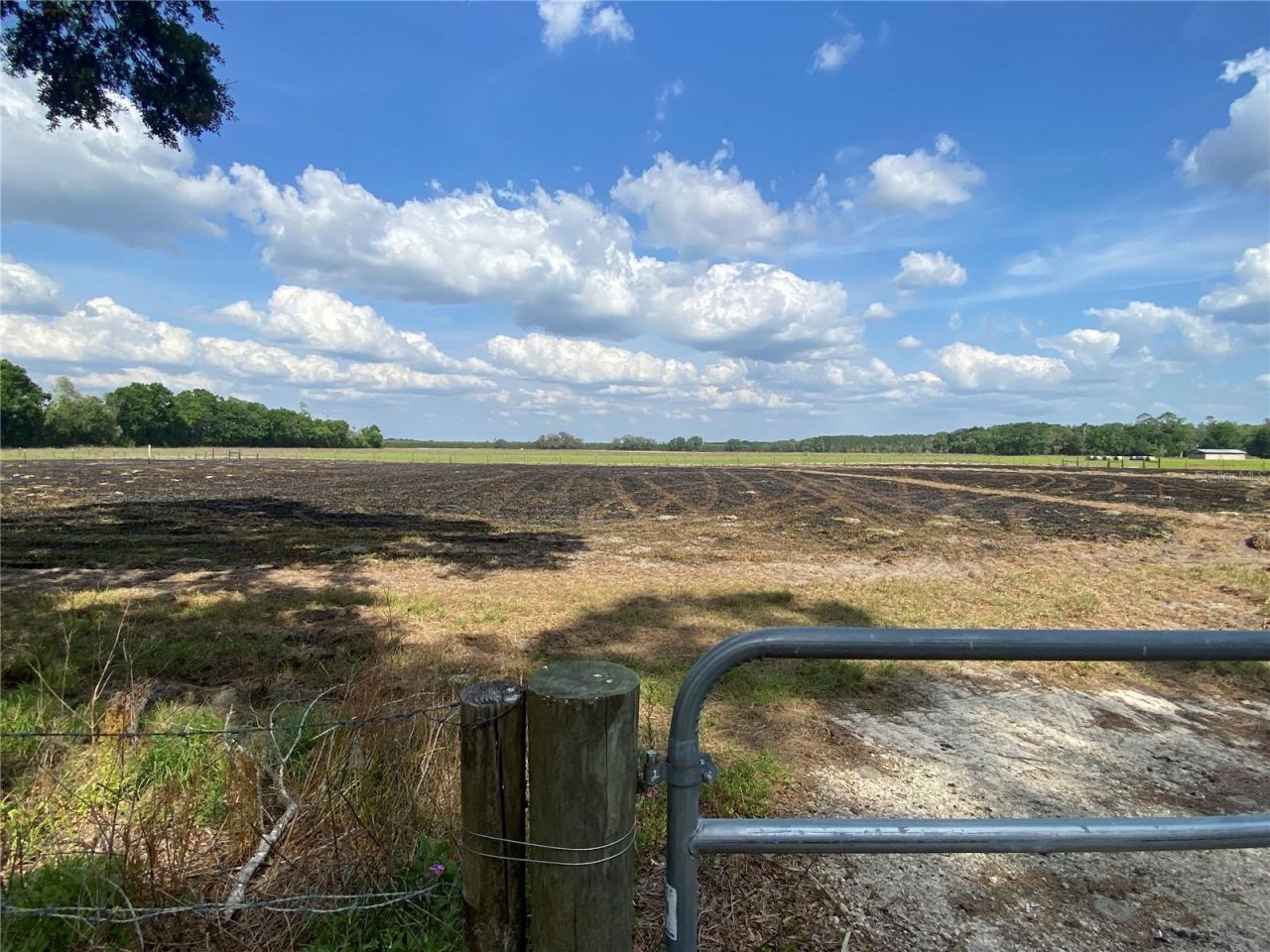 0 Sr 345, Chiefland, FL 32626 Photo