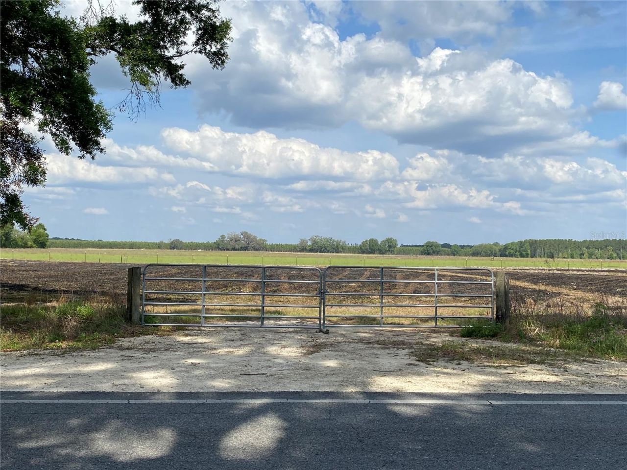 0 Sr 345, Chiefland, FL 32626 Photo