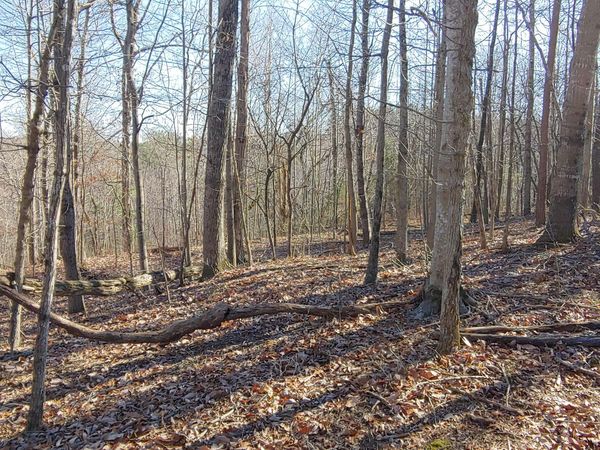 LOT 1 Truman Hill RD, Hardy, VA 24101