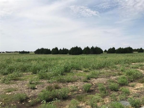 5220 Bravo Road, Midlothian, TX 76065