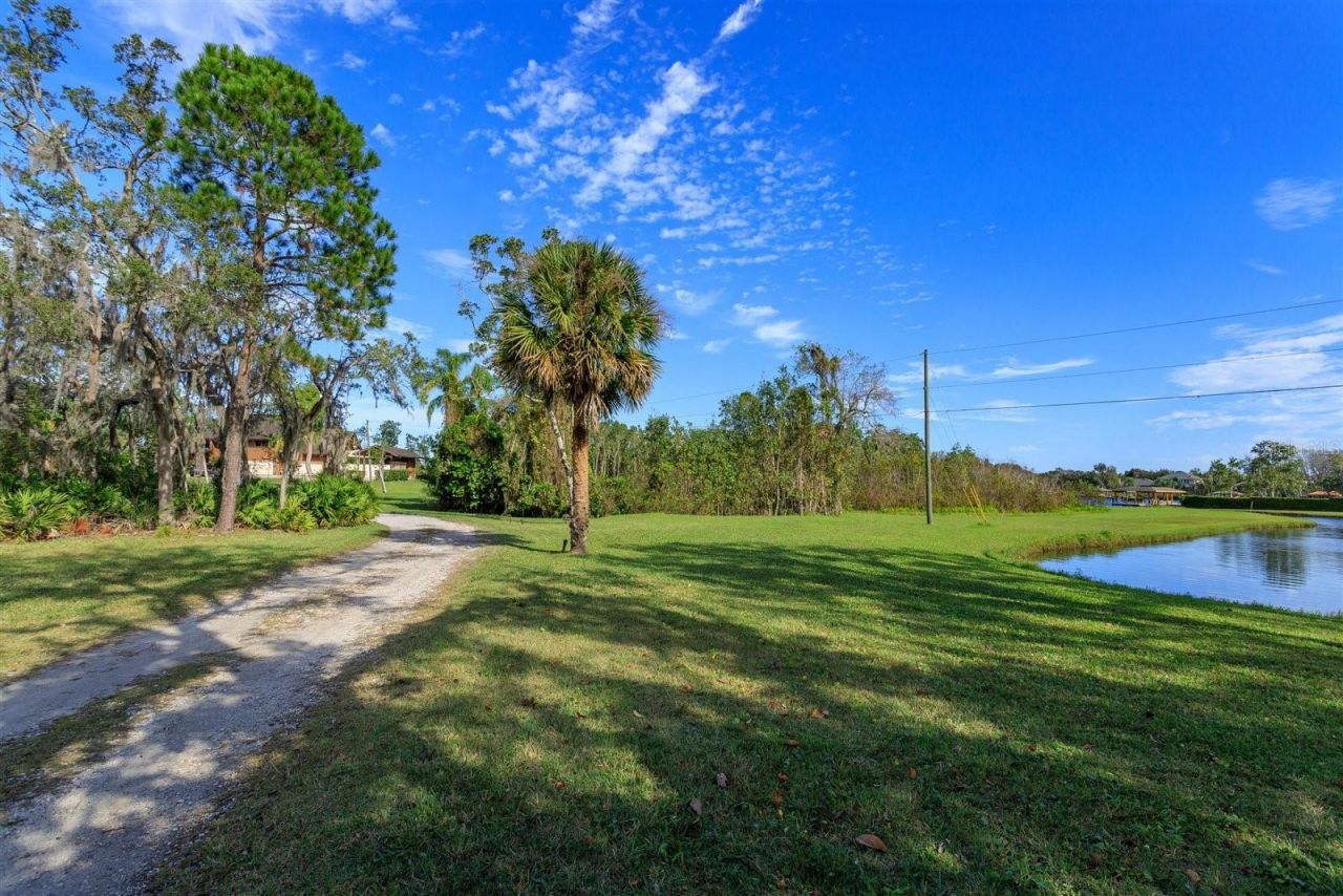 13377 Lake Butler Boulevard, Winter Garden, FL 34787 Photo