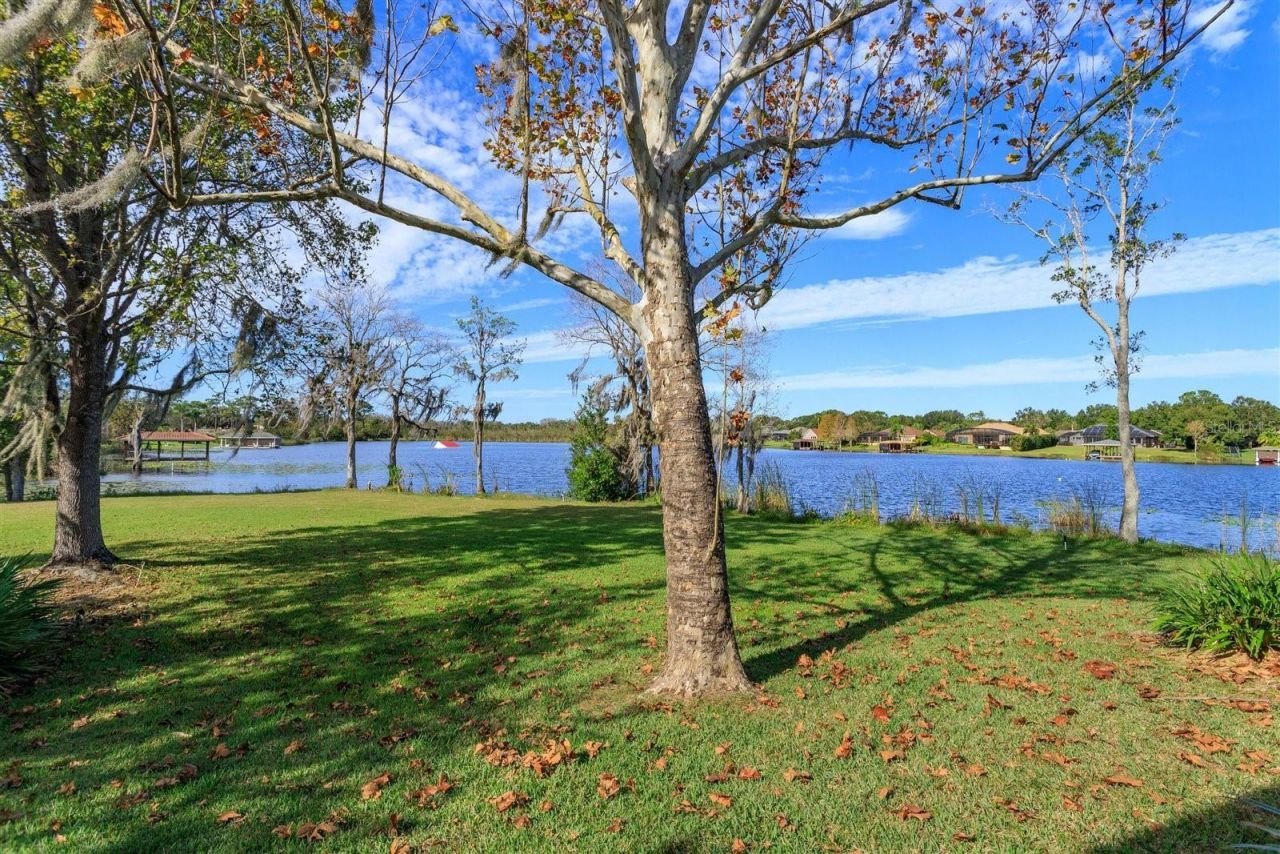 13377 Lake Butler Boulevard, Winter Garden, FL 34787 Photo