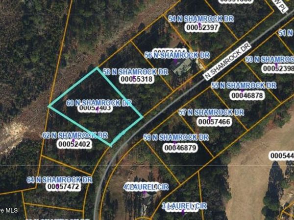 60 N Shamrock Drive, Jackson Springs, NC 27281