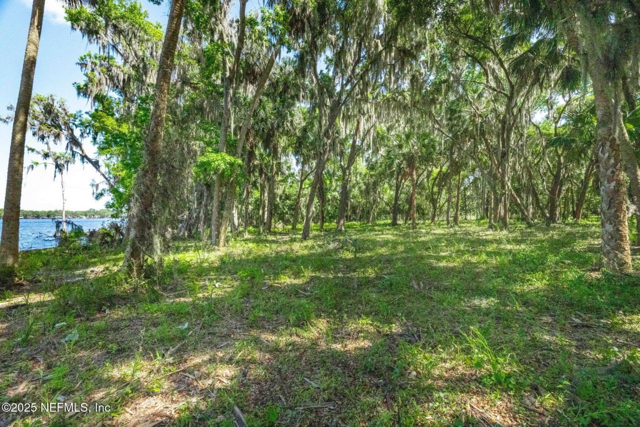 762 National Forest Road 75g Road, Palatka, FL 32177 Photo