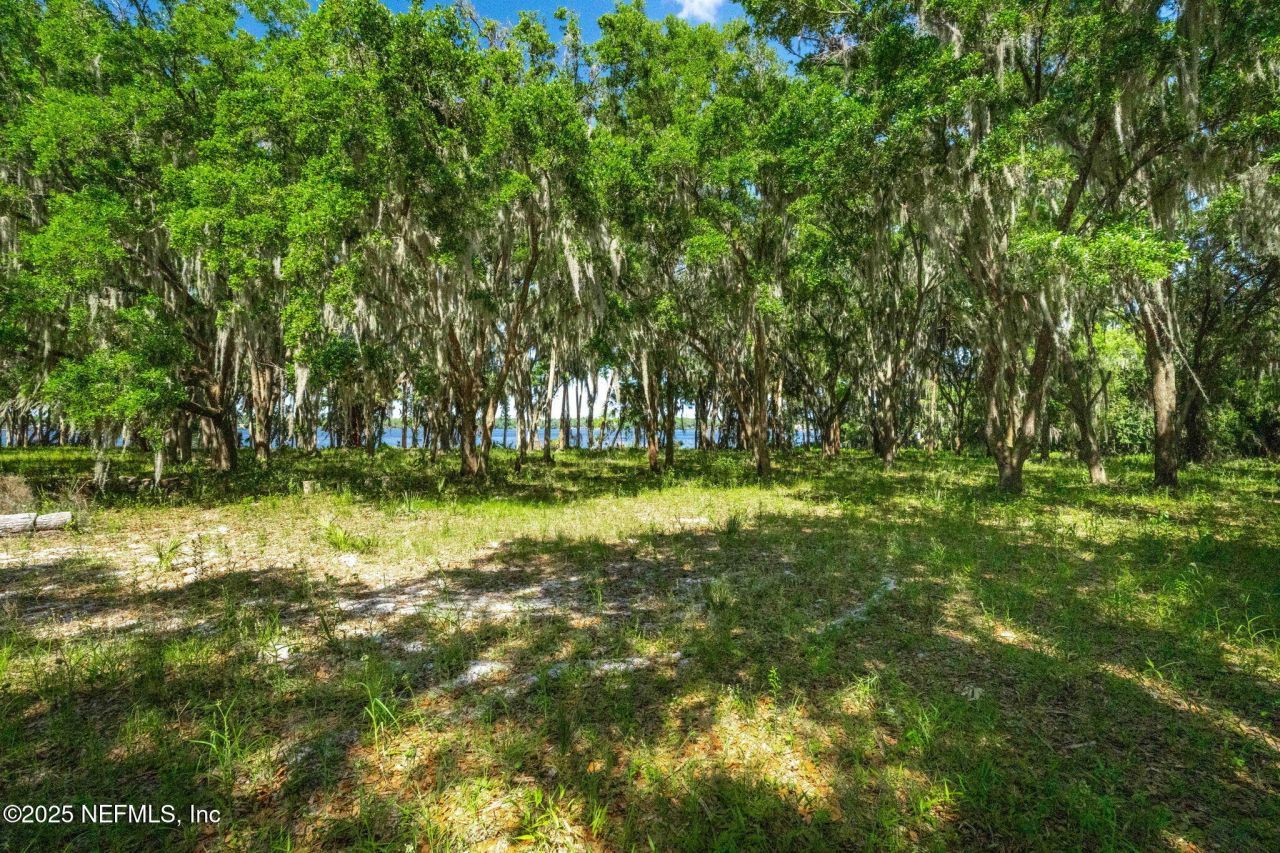 762 National Forest Road 75g Road, Palatka, FL 32177 Photo