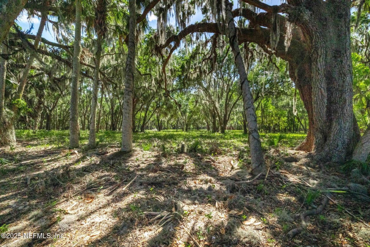 762 National Forest Road 75g Road, Palatka, FL 32177 Photo