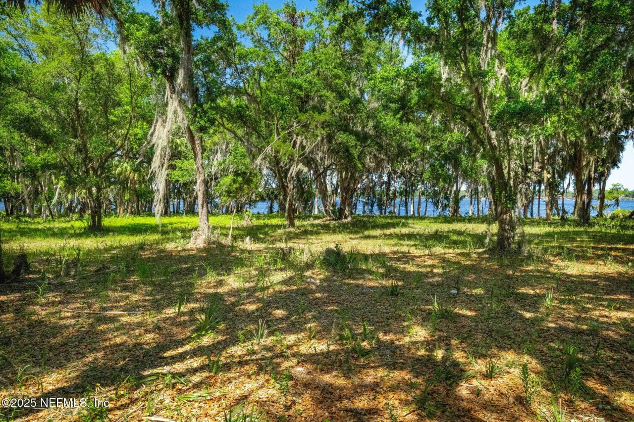 762 National Forest Road 75g Road, Palatka, FL 32177 Photo