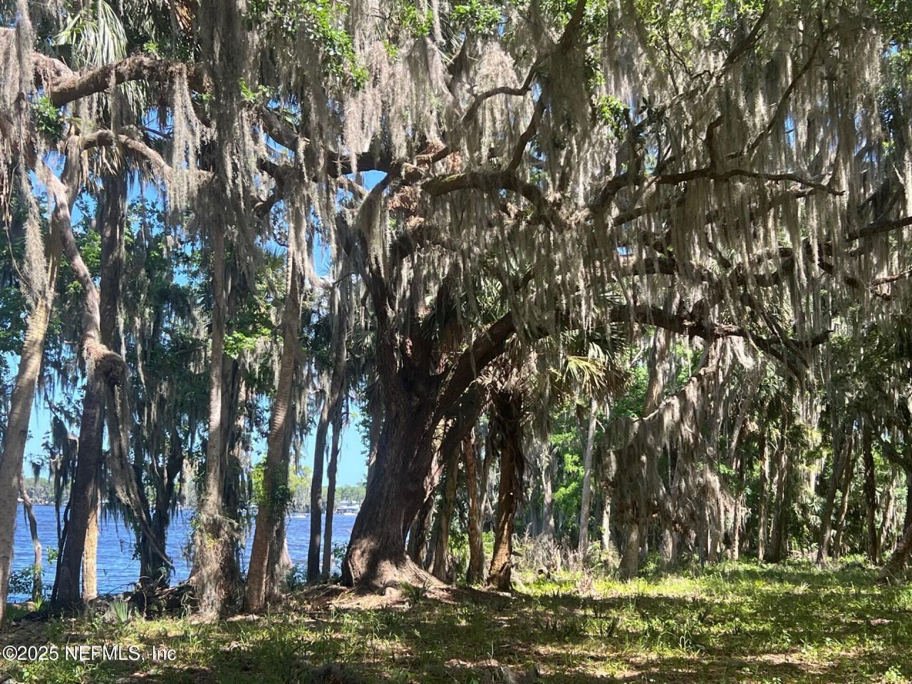 762 National Forest Road 75g Road, Palatka, FL 32177 Photo