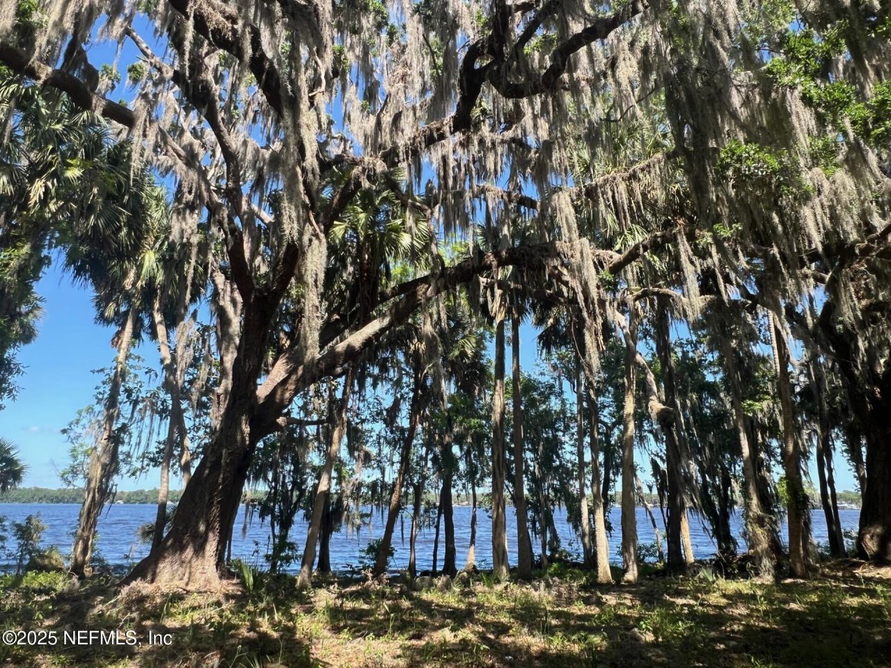 762 National Forest Road 75g Road, Palatka, FL 32177 Photo