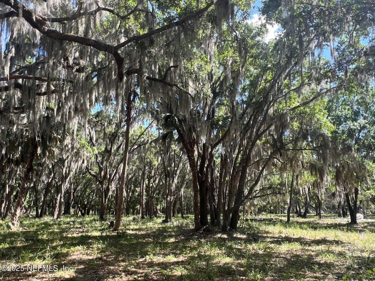 762 National Forest Road 75g Road, Palatka, FL 32177 Photo