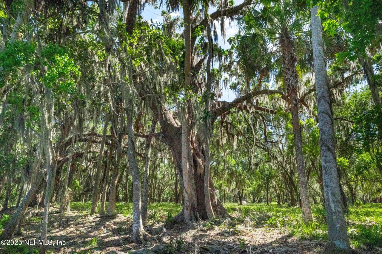 762 National Forest Road 75g Road, Palatka, FL 32177 Photo