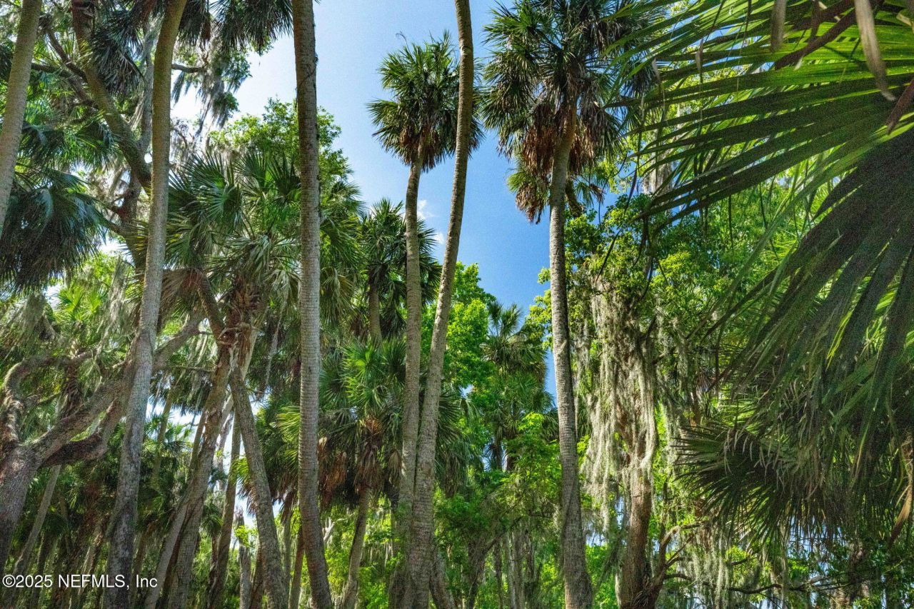 762 National Forest Road 75g Road, Palatka, FL 32177 Photo