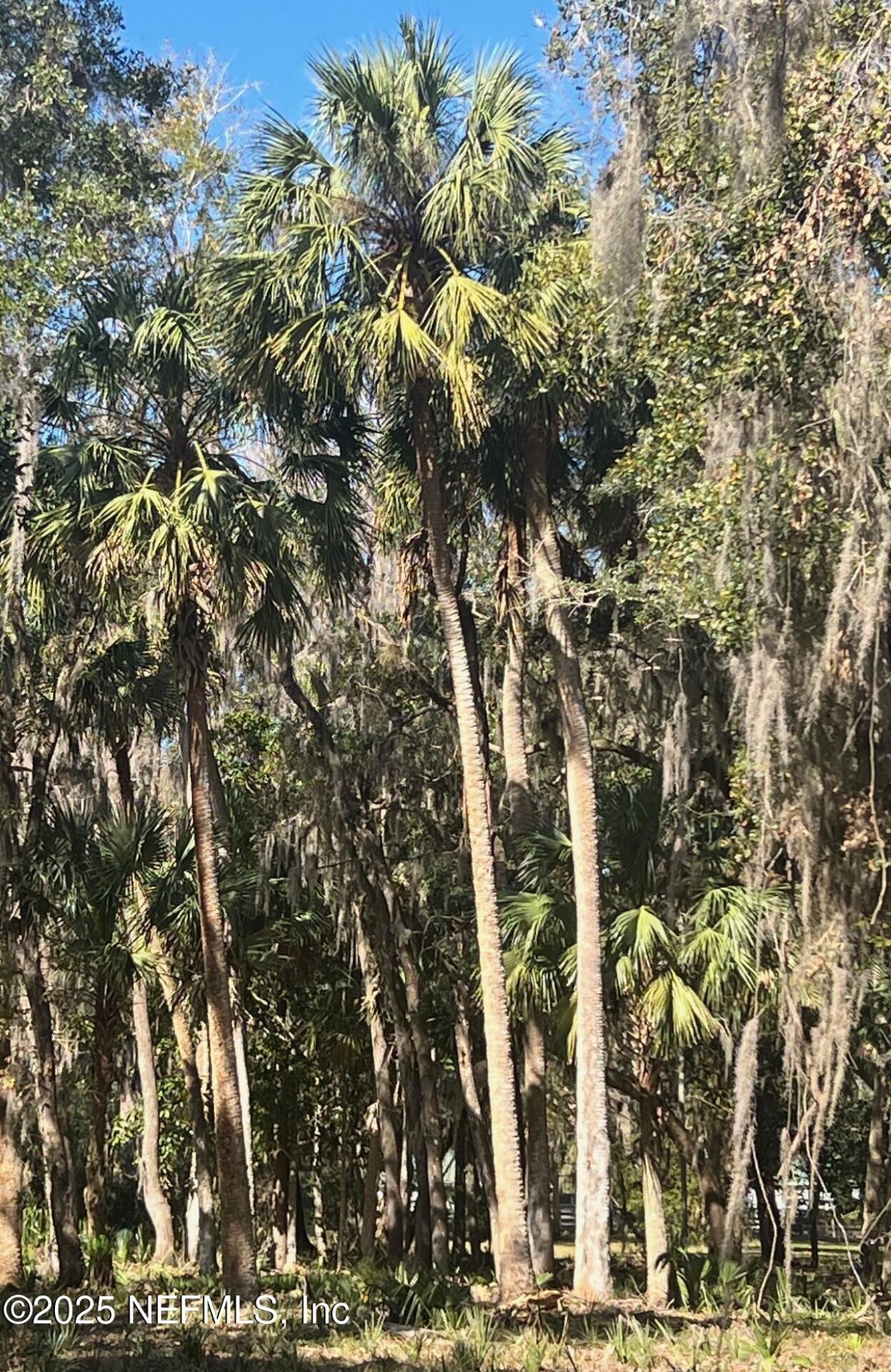 762 National Forest Road 75g Road, Palatka, FL 32177 Photo