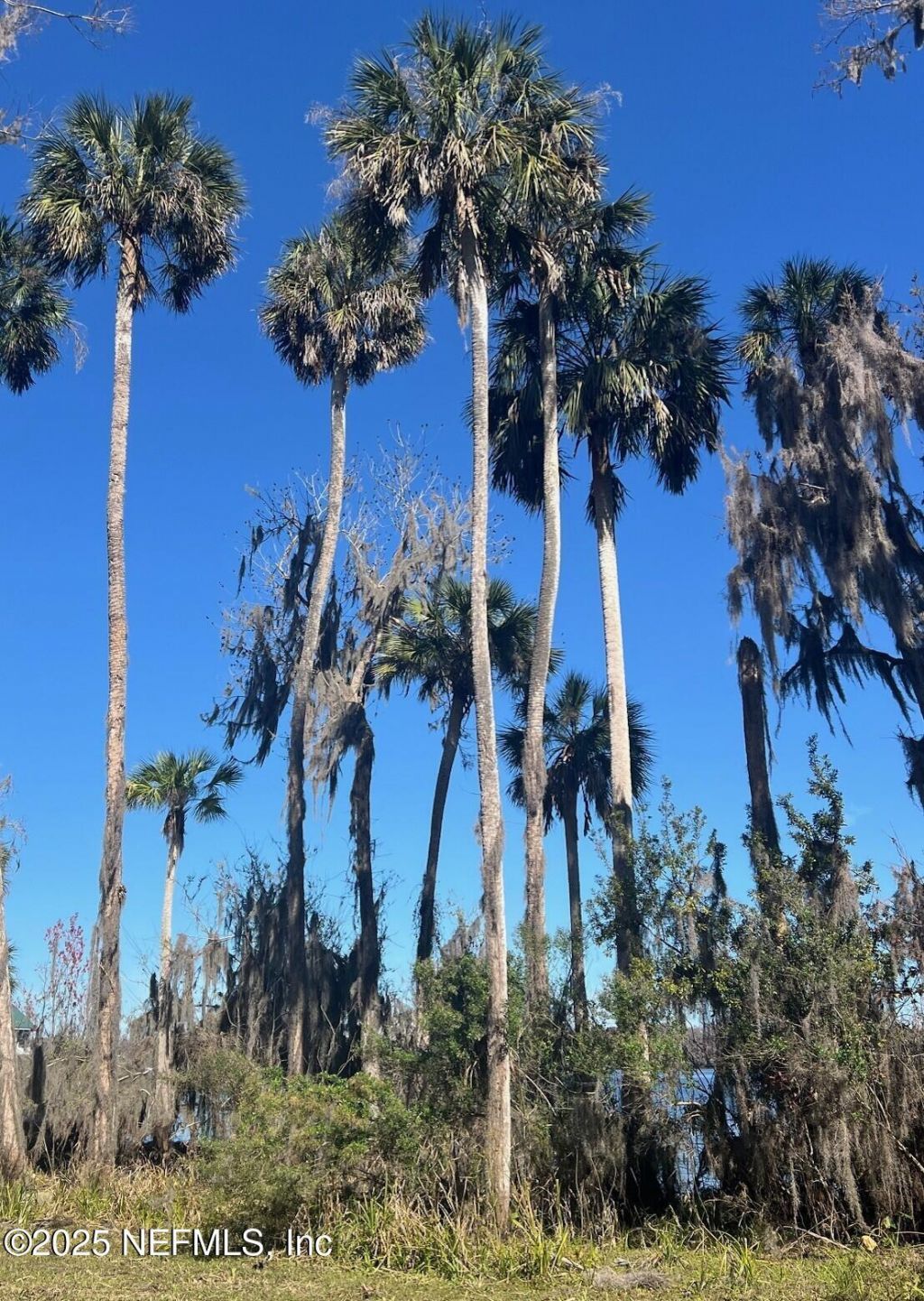 762 National Forest Road 75g Road, Palatka, FL 32177 Photo