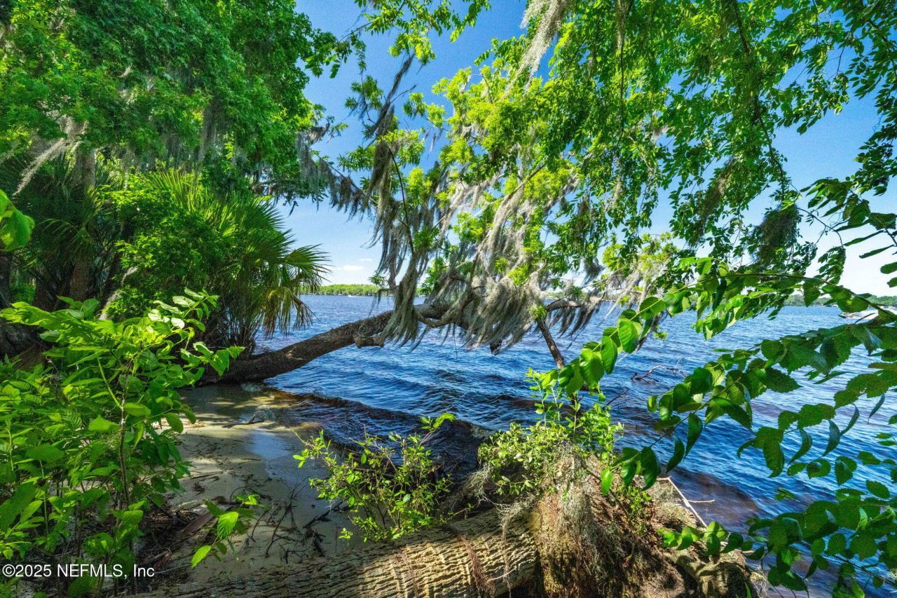 762 National Forest Road 75g Road, Palatka, FL 32177 Photo