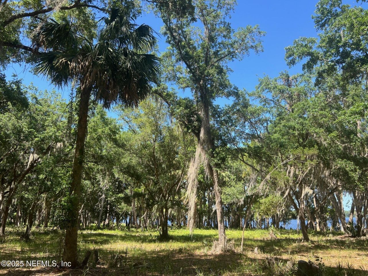 762 National Forest Road 75g Road, Palatka, FL 32177 Photo
