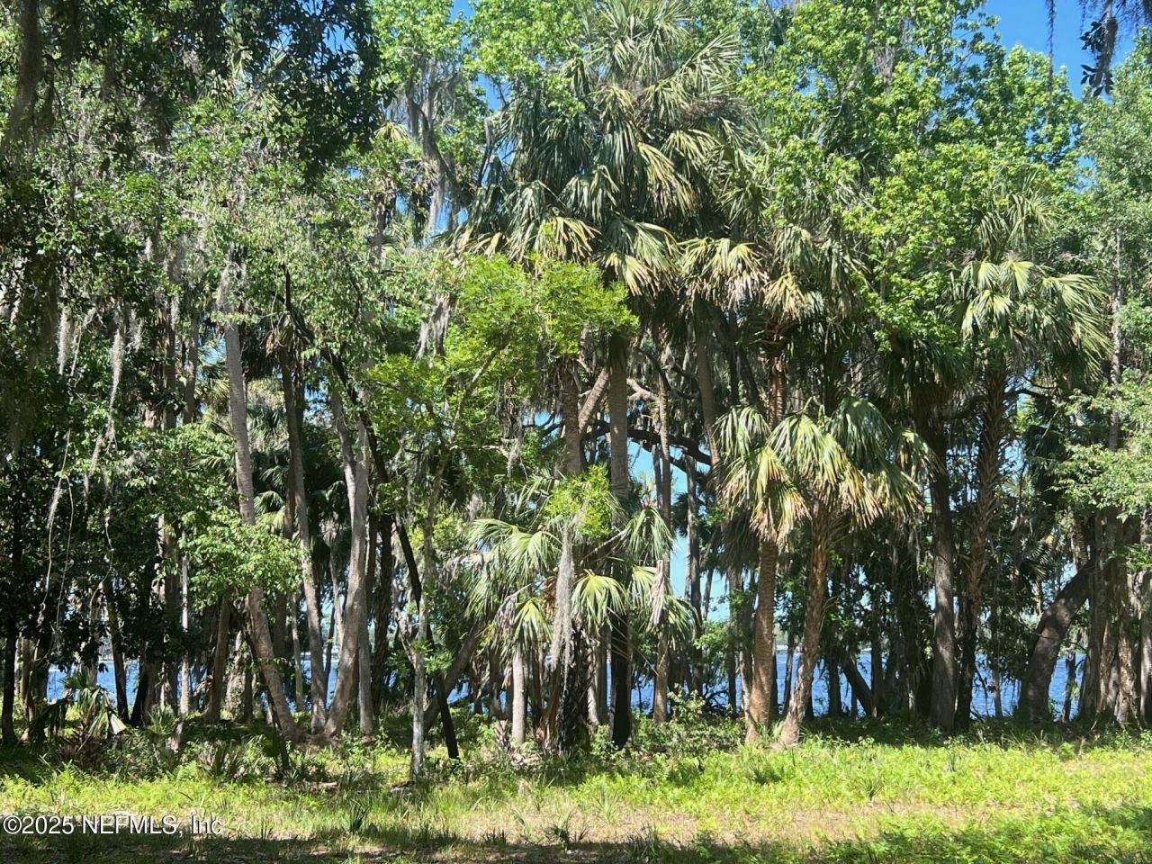 762 National Forest Road 75g Road, Palatka, FL 32177 Photo
