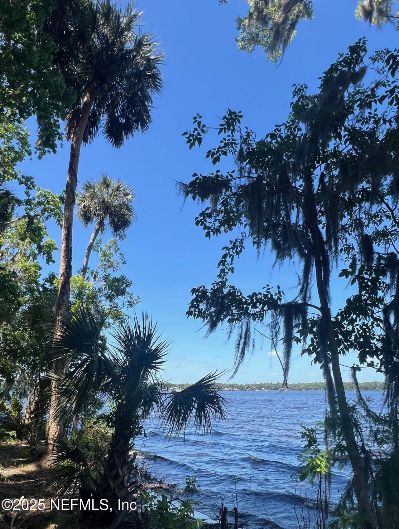 762 National Forest Road 75g Road, Palatka, FL 32177 Photo