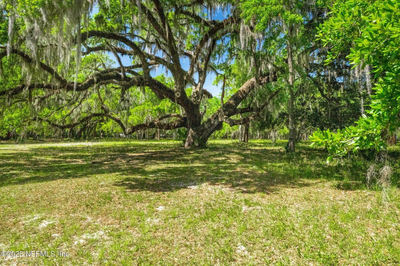 762 National Forest Road 75g Road, Palatka, FL 32177 Photo