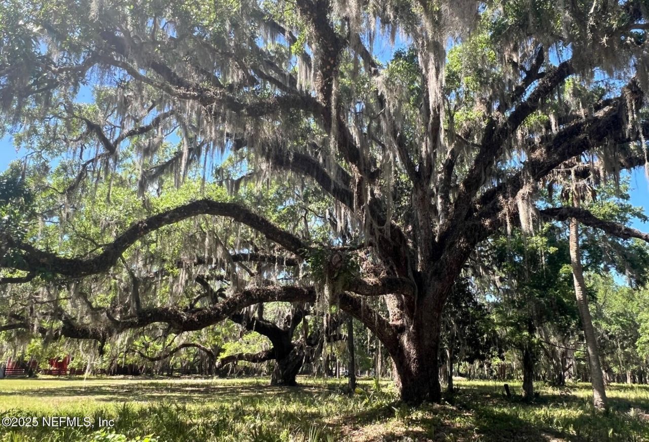 762 National Forest Road 75g Road, Palatka, FL 32177 Photo