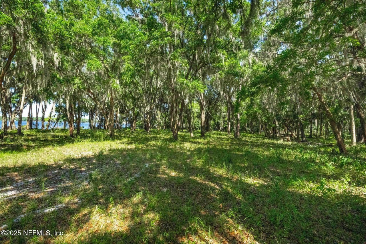 762 National Forest Road 75g Road, Palatka, FL 32177 Photo