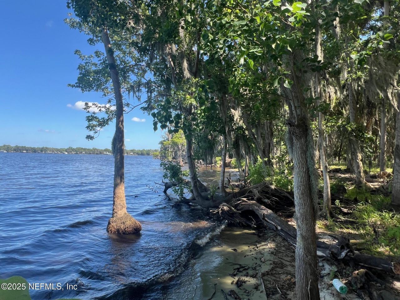 762 National Forest Road 75g Road, Palatka, FL 32177 Photo