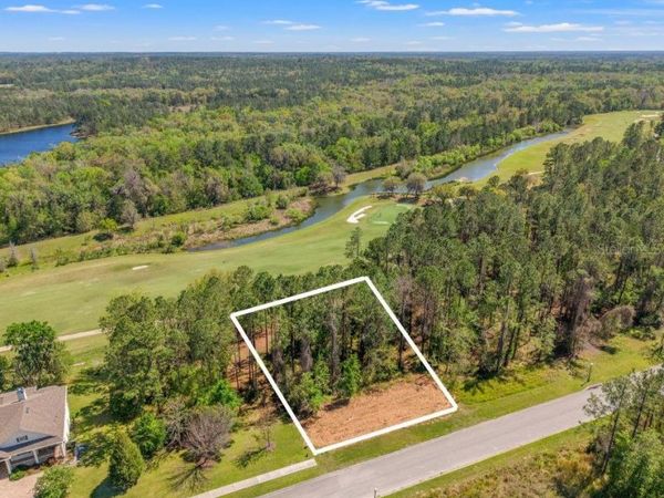 20044 ENGLISH WALNUT PLACE, BROOKSVILLE, FL 34601