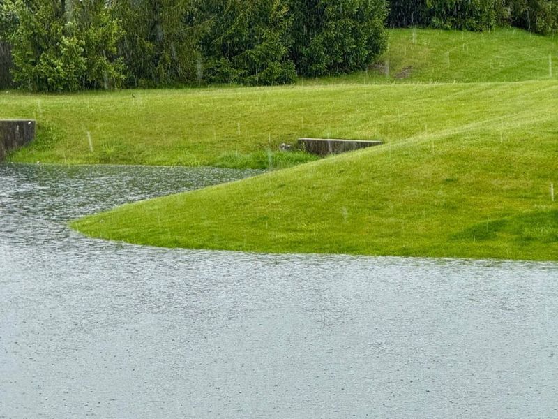 1123 Hampton Lane, London, OH 43140 Photo 19