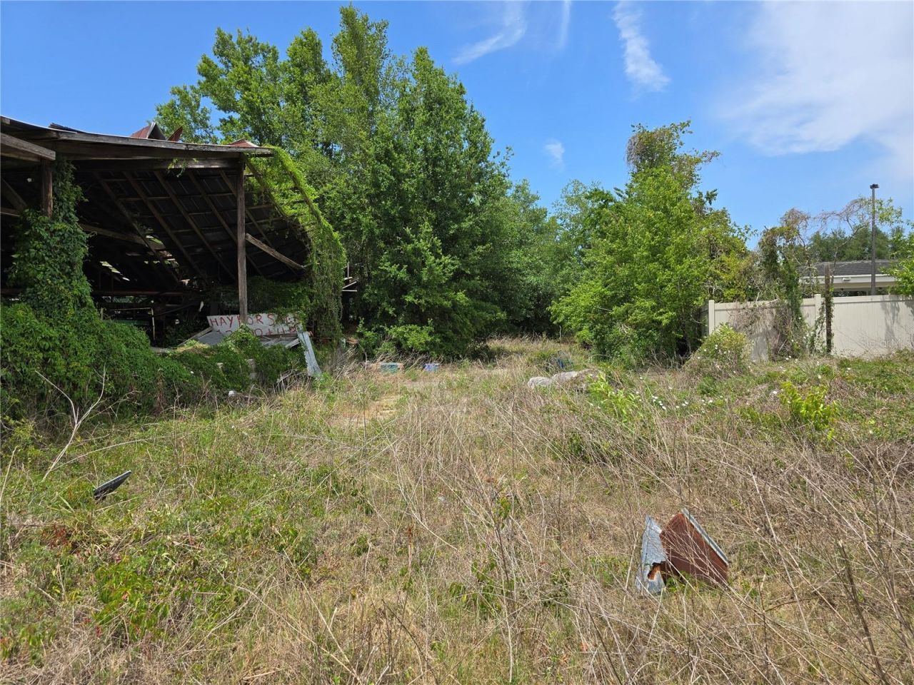 11828 County Road 105, Oxford, FL 34484 Photo