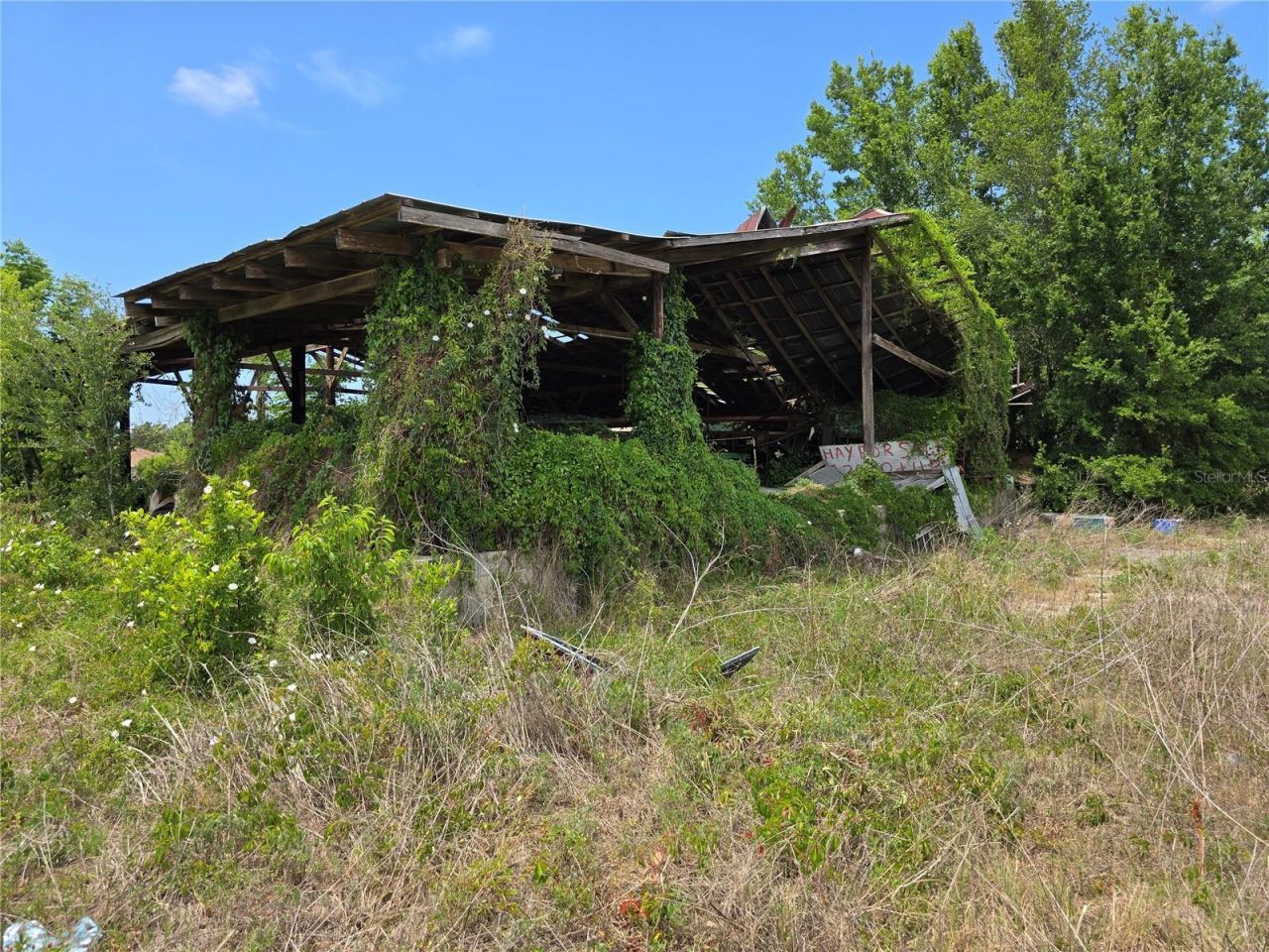 11828 County Road 105, Oxford, FL 34484 Photo