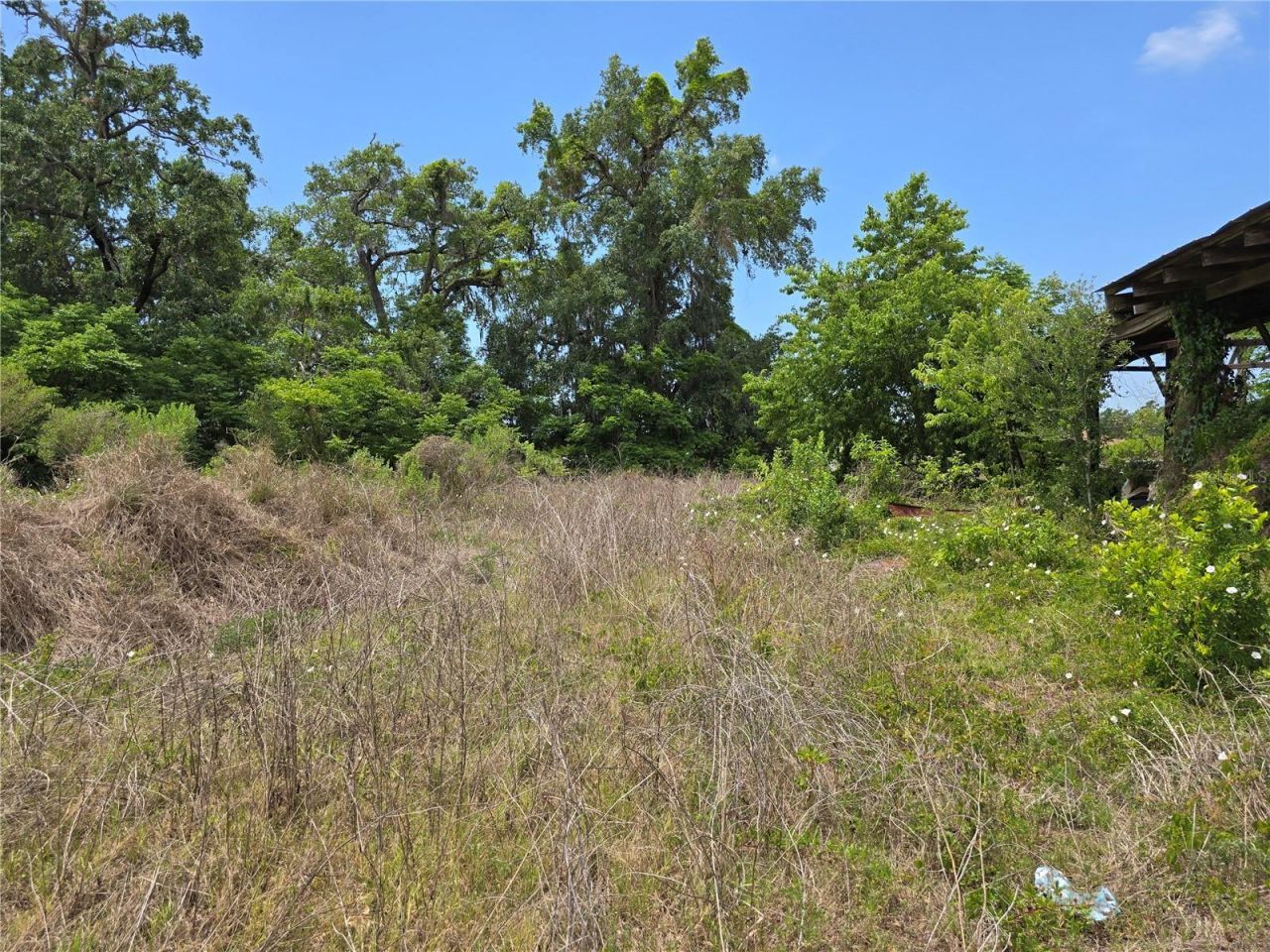 11828 County Road 105, Oxford, FL 34484 Photo