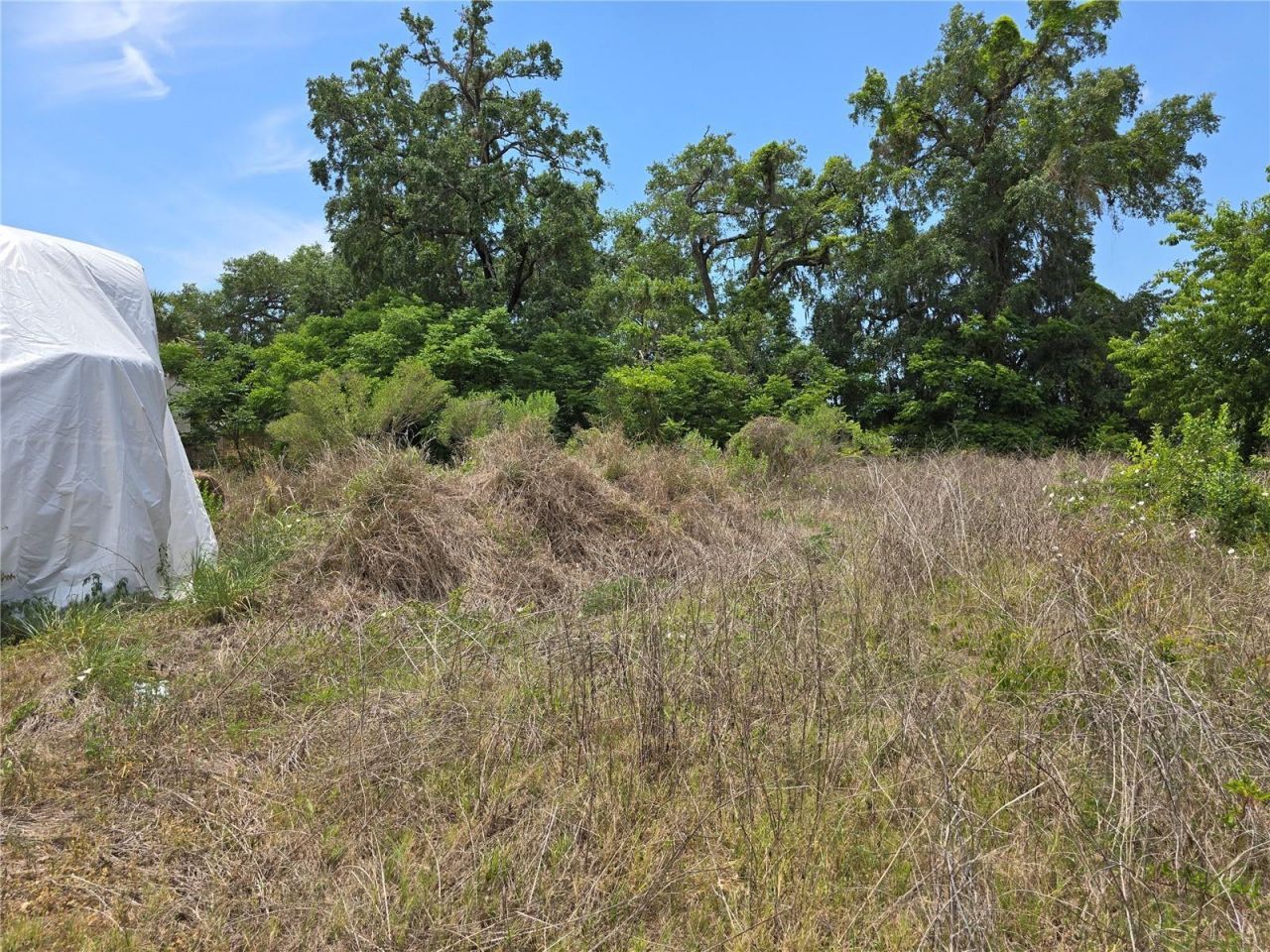 11828 County Road 105, Oxford, FL 34484 Photo