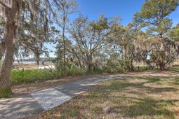 41 Petigru Drive photo 4