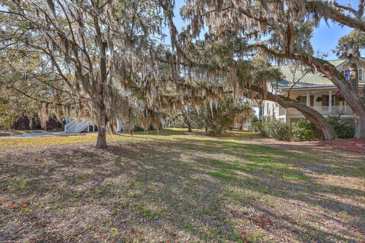 41 Petigru Drive Photo 7