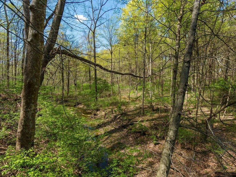 4930 E Walnut Street, Westerville, OH 43081 Photo 124