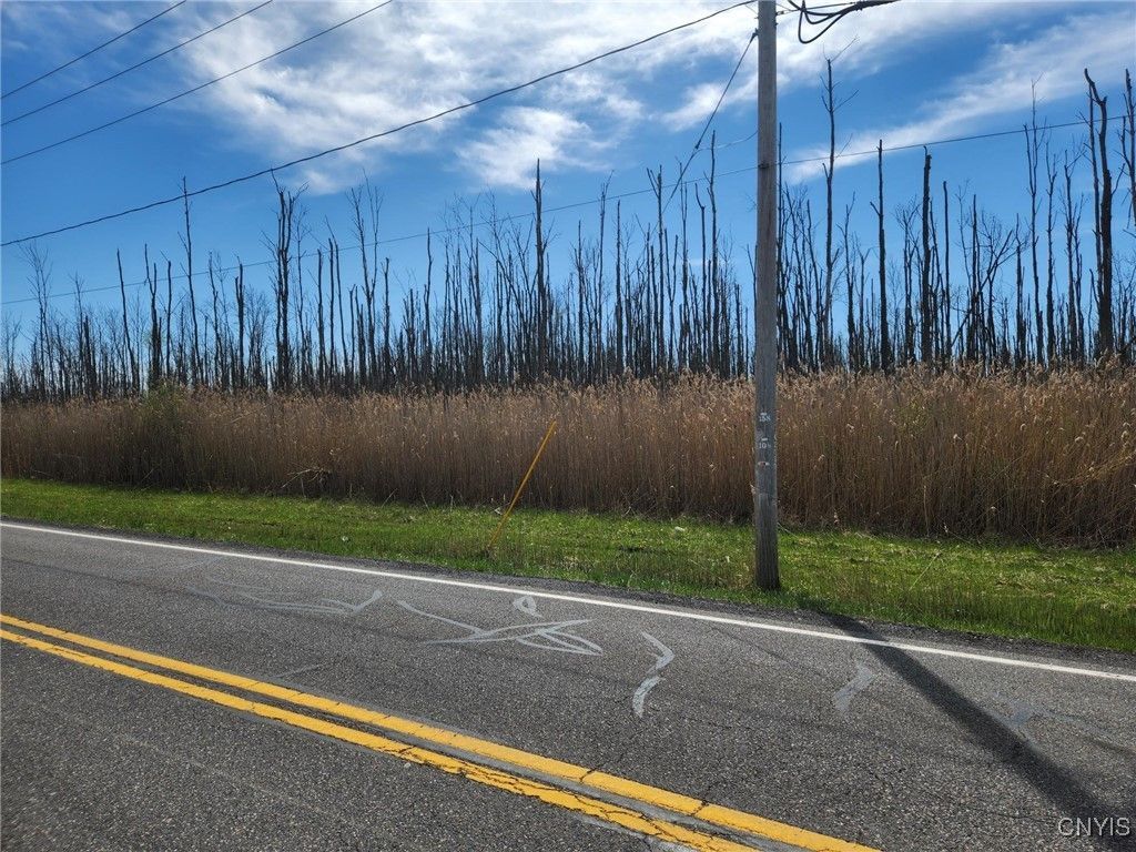 04.1 Bowman Road, Manlius, NY 13104 Main Photo