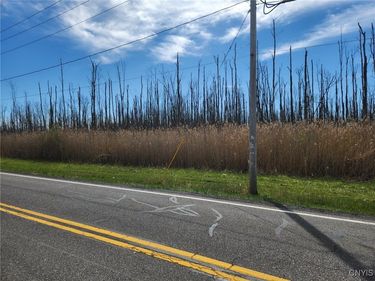 04.1 Bowman Road, Manlius, NY 13104