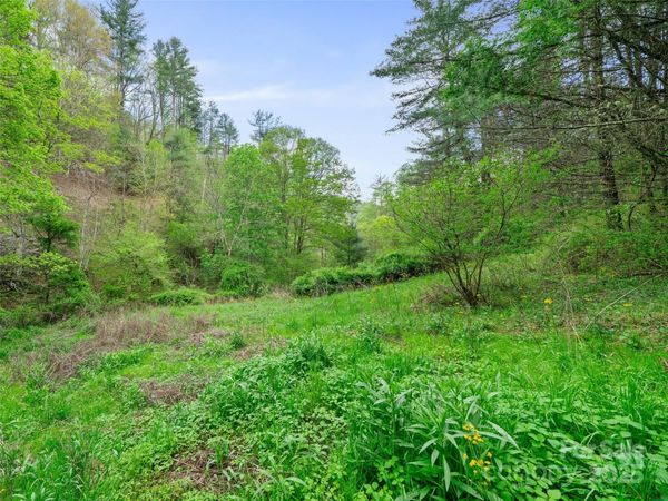 0 Fire Scald Road, Green Mountain, NC 28740