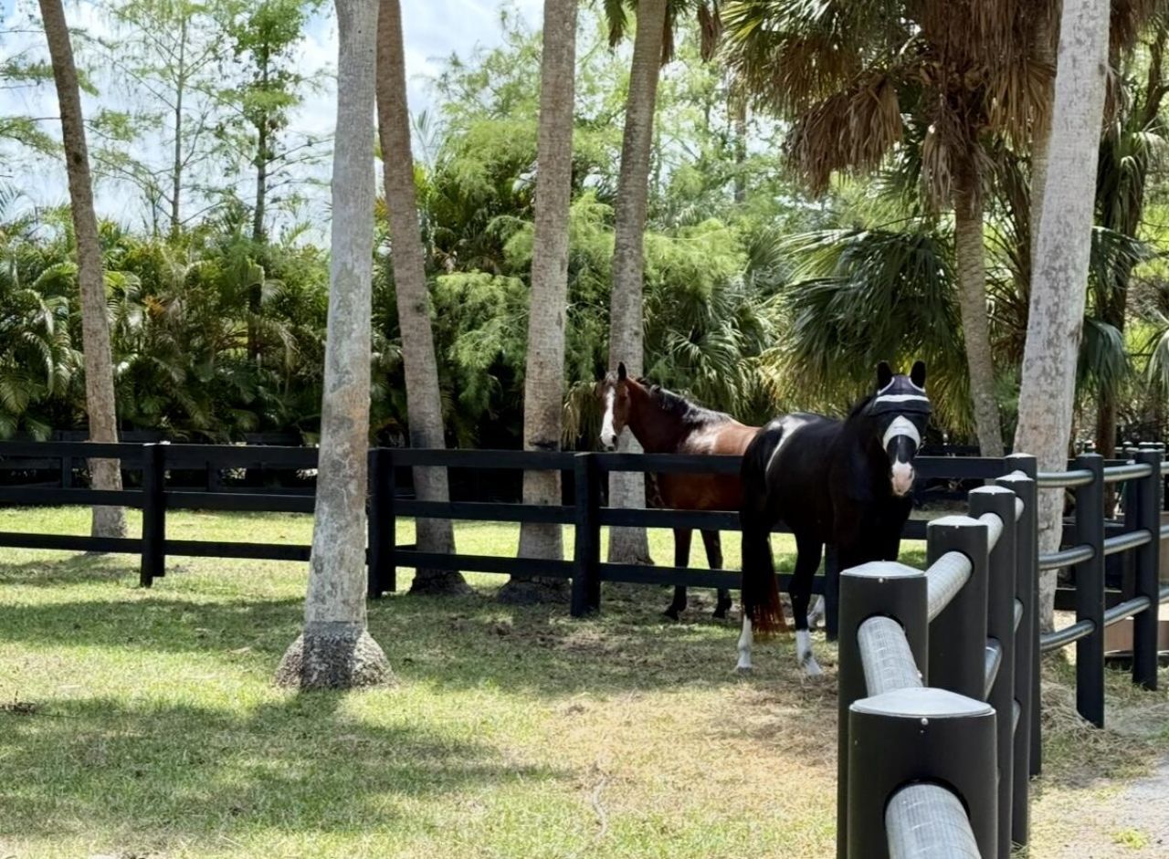 Please Call For Address, Loxahatchee, FL 33470 Photo