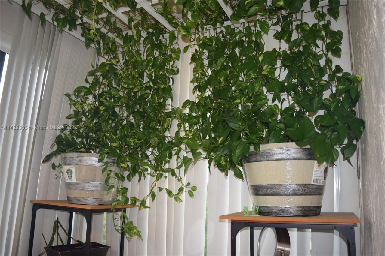 3940 NW 42nd Ave, Unit 316, Lauderdale Lakes, FL 33319 Photo