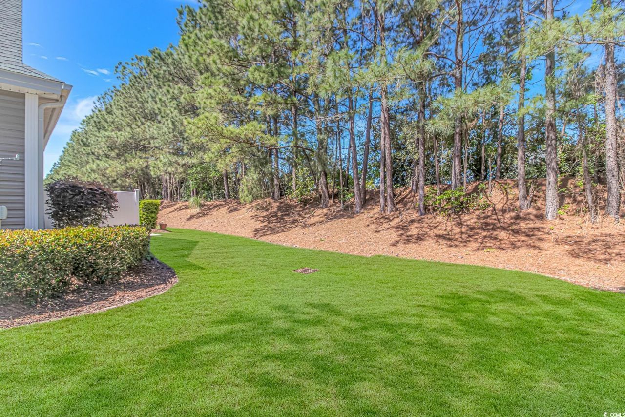 139 Chenoa Dr. Photo 33